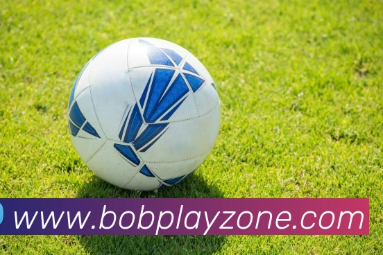 BOB体育平台生态图